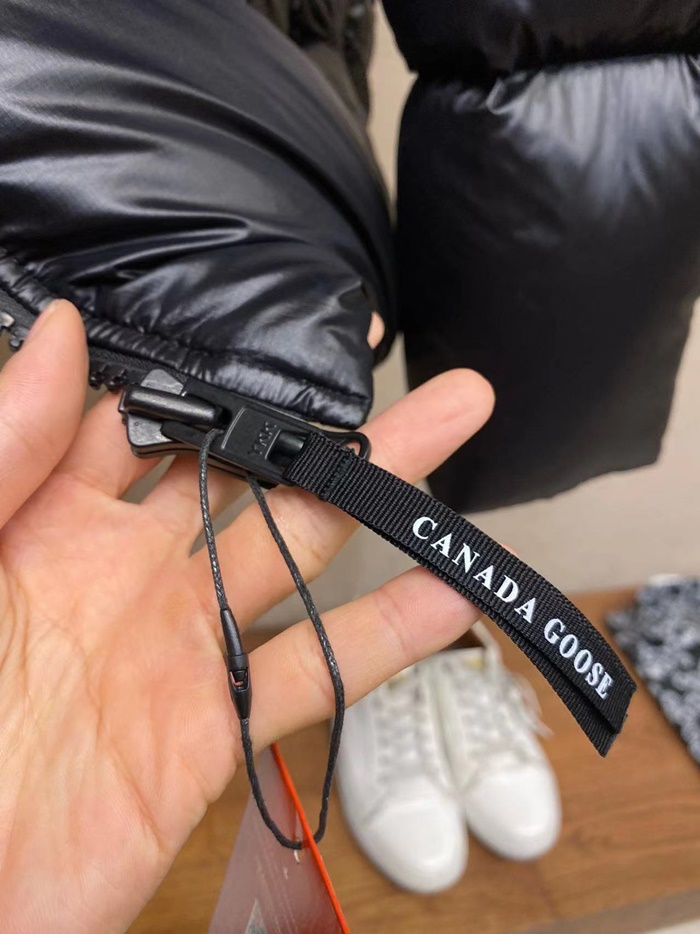 5ecb4861c38928c3dfeb71486ad03068_1702448510_4004.jpg 5ecb4861c38928c3dfeb71486ad03068_1702448510_4004.jpg