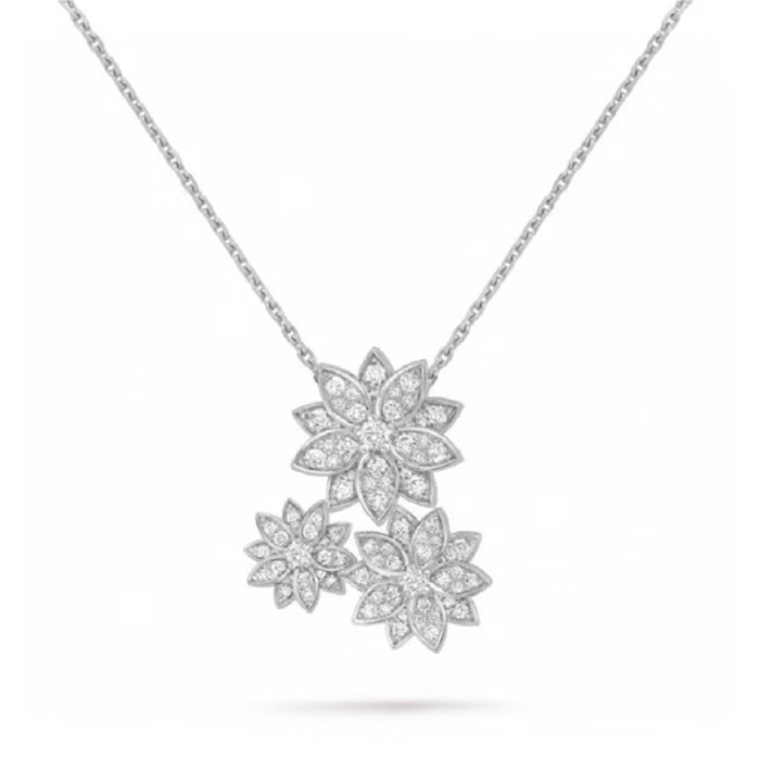 ef05da342f2ff7eb73276d0e7efc8f6c_1710166946_7652.JPG ef05da342f2ff7eb73276d0e7efc8f6c_1710166946_7652.JPG