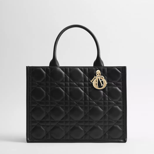 ★디올 여성 북 토트 스트랩 미디엄 백 - Dior Womens Book Tote Strap Medium Bag