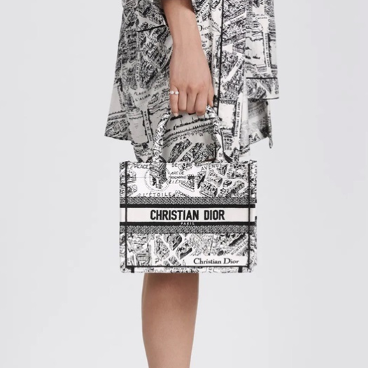 ★디올 여성 북 토트 스몰 백 - Dior Womens Black Book Tote Bag