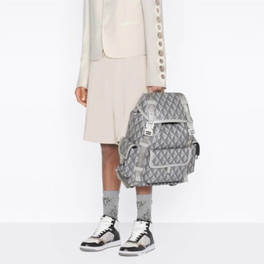 ❤디올 남성 그레이 백팩 - Dior Mens Gray Back Pack - di544x