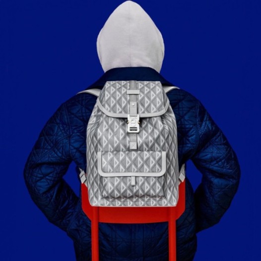 ❤디올 남성 그레이 백팩 - Dior Mens Gray Back Pack - di546x