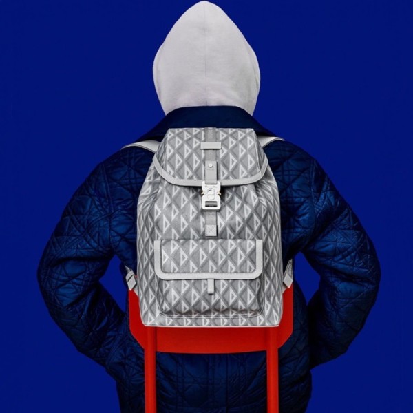 ❤디올 남성 그레이 백팩 - Dior Mens Gray Back Pack - di546x