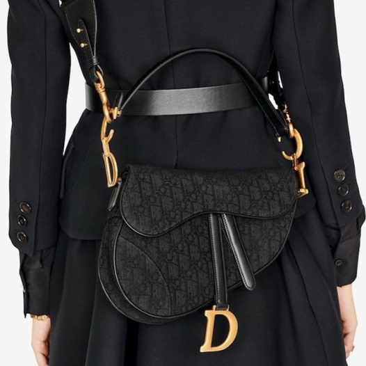 ★디올 여성 새들 스트랩 백 - Dior Womens Saddle Strap Bag