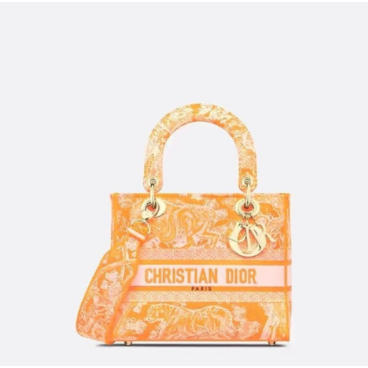 ❤디올 여성 오렌지 레이디 백 - Dior Womens Orange Lady Bag - dib526x