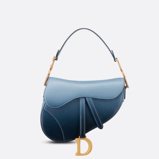 ★디올 여성 새들 스트랩 백 - Dior Womens Saddle Strap Bag