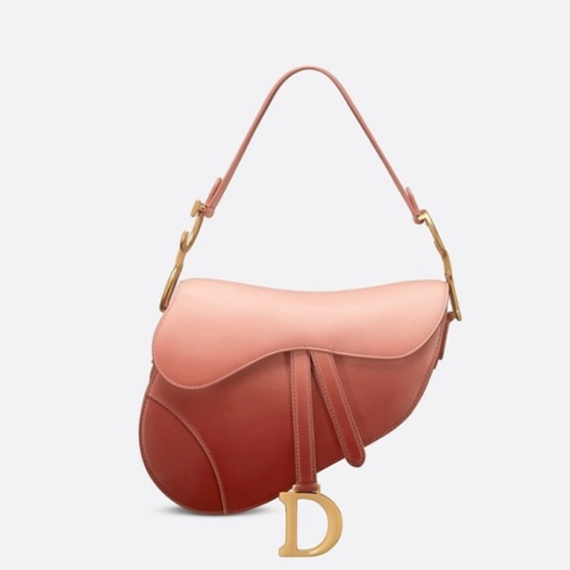 ★디올 여성 새들 스트랩 백 - Dior Womens Saddle Strap Bag