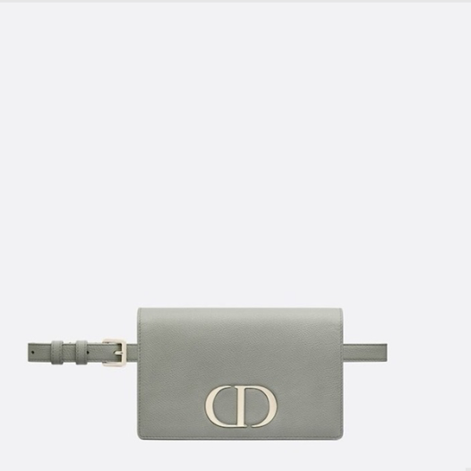 ★디올 여성 몽테인 WOC 미니 벨트백 - Dior Womens Montaigne Woc - dib849x