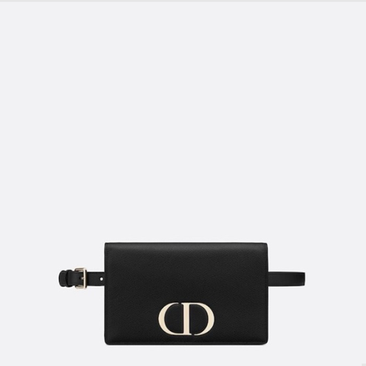 ★디올 여성 몽테인 WOC 미니 벨트백 - Dior Womens Montaigne Woc - dib850x