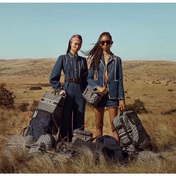 ❤디올 남/녀 오블리크 네이비 캐리어 - Dior Unisex Oblique Navy Carrier - dic107x