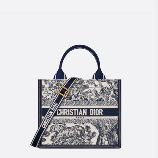 ★디올 여성 북 토트 스트랩 스몰 백 - Dior Womens Book Tote Bag