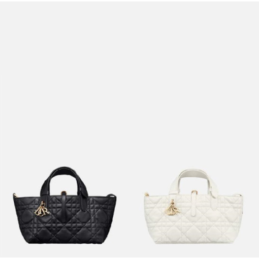 ❤@@@디올 Toujours 스몰 백 - Dior Toujours Small Bag- di2643z