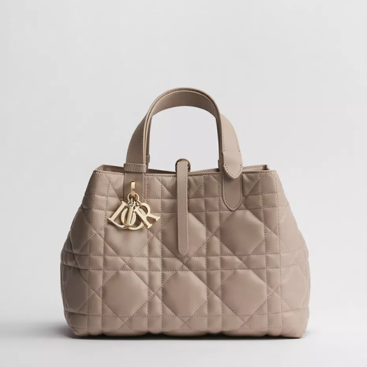 ★디올 여성 뚜주흐 미디엄 백 - Dior Womens Toujours Medium Bag