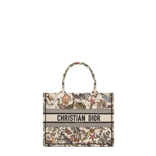 ❤디올 여성 크리스찬 북토트 - Dior Womens Book Tote - dib4870x