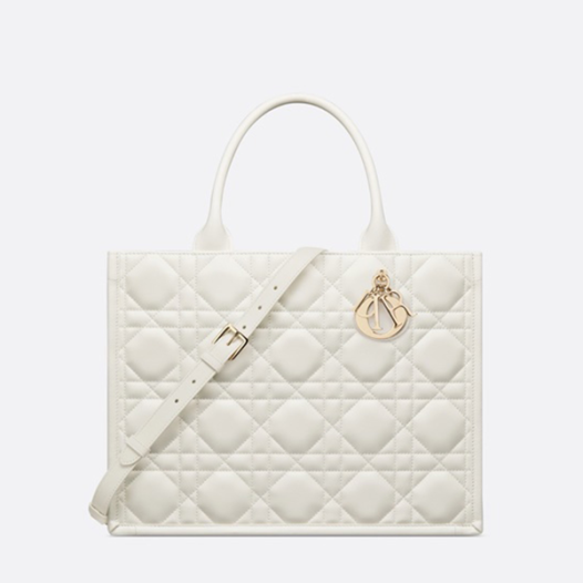 ★디올 여성 북 토트 스트랩 미디엄 백 - Dior Womens Book Tote Strap Medium Bag