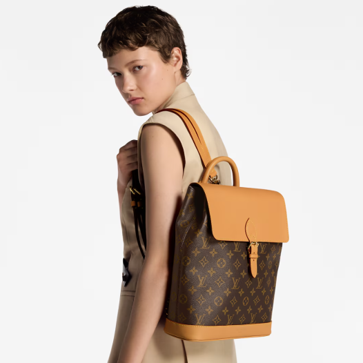 ★루이비통 여성 소호 MM 백팩 M14653 - Louis vuitton Womens Soho Backpack - lvb5313x