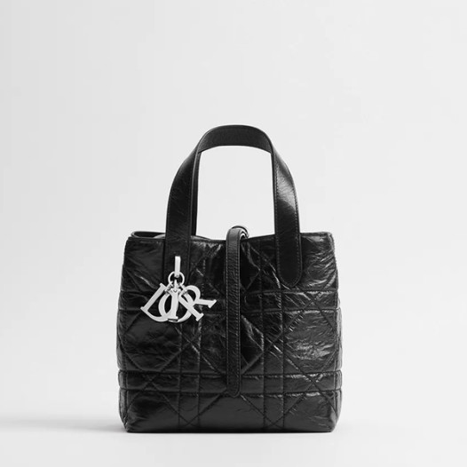 ★디올 여성 뚜주흐 버티컬 스몰 토트백 - Dior Womens Toujours Vertical Small Tote Bag