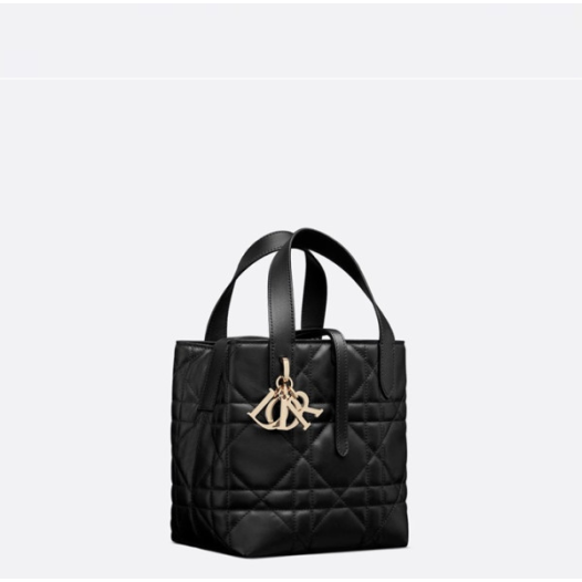 ❤디올 여성 뚜주흐 스몰 버티컬 토트백 - Dior Womens Toujours Small Vertical Tote Bag - dib5437x