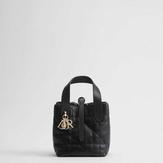 ★디올 여성 뚜주흐 버티컬 나노 토트백 - Dior Womens Toujours Vertical Nano Tote Bag