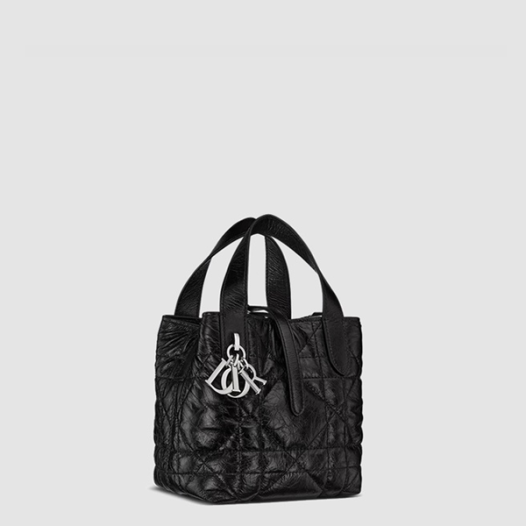 ★디올 여성 뚜주흐 버티컬 나노 토트백 - Dior Womens Toujours Vertical Nano Tote Bag