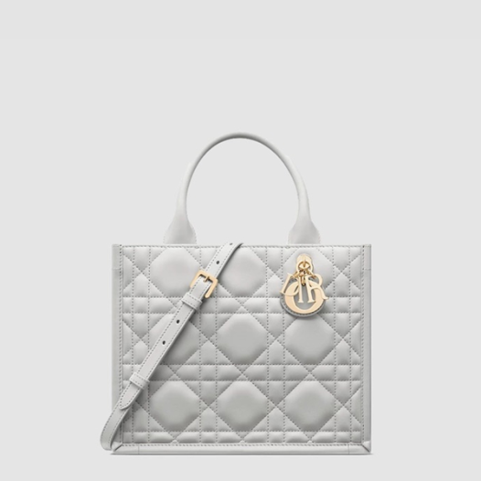 ★디올 여성 북 토트 스몰 스트랩 백 - Dior Womens Book Tote Small Bag