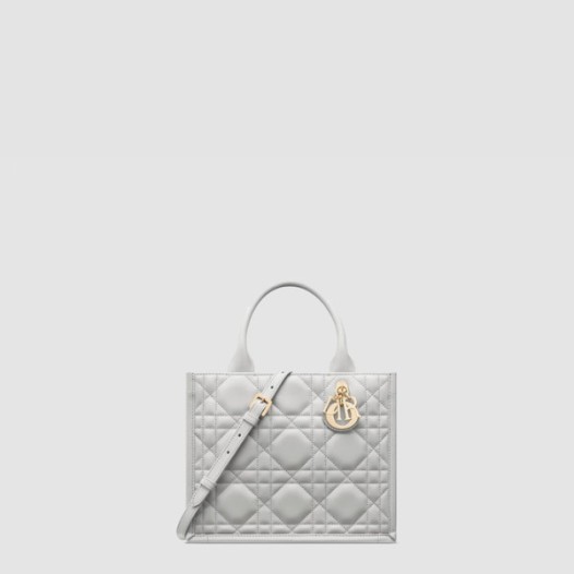 ❤디올 여성 북토트 스몰 백 - Dior Womens Book Tote Small Bag - dib10773x
