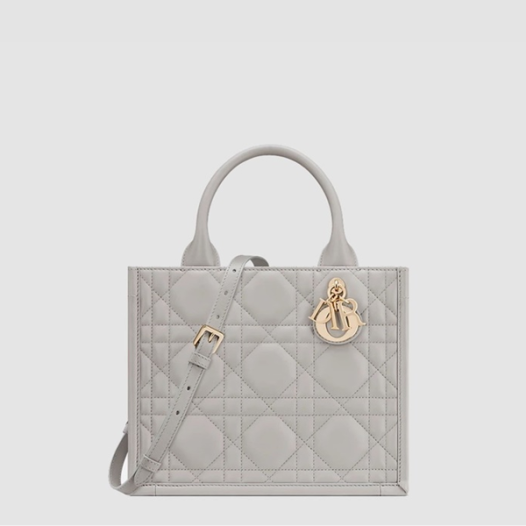 ★디올 여성 북 토트 스몰 스트랩 백 - Dior Womens Book Tote Small Bag