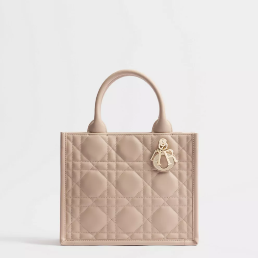 ★디올 여성 북 토트 스몰 스트랩 백 - Dior Womens Book Tote Small Bag