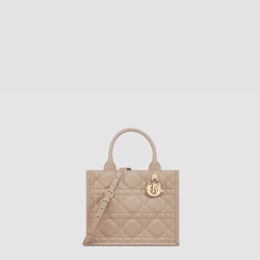❤디올 여성 북토트 스몰 백 - Dior Womens Book Tote Small Bag - dib10775x