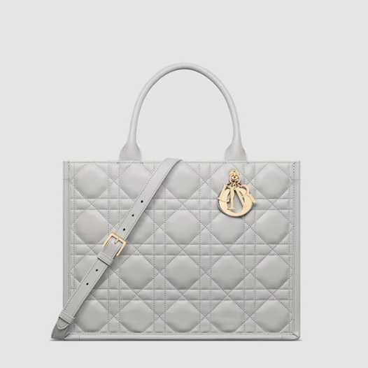 ★디올 여성 북 토트 스트랩 미디엄 백 - Dior Womens Book Tote Strap Medium Bag