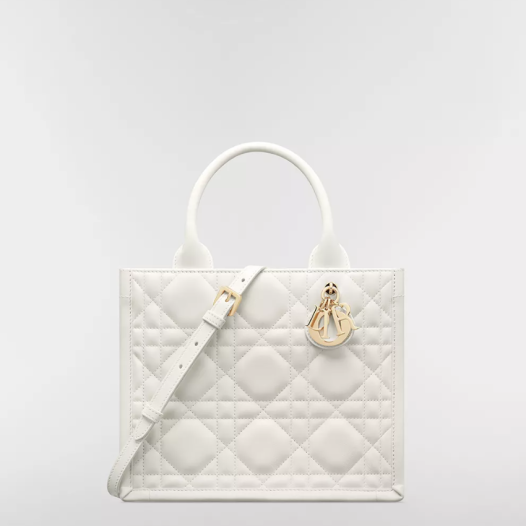 ★디올 여성 북 토트 스몰 스트랩 백 - Dior Womens Book Tote Small Bag