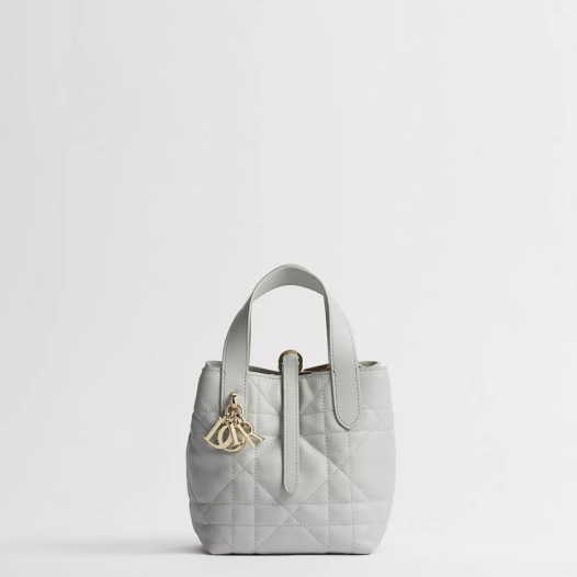 디올 여성 뚜주흐 버티컬 나노 토트백 - Dior Womens Toujours Vertical Nano Tote Bag