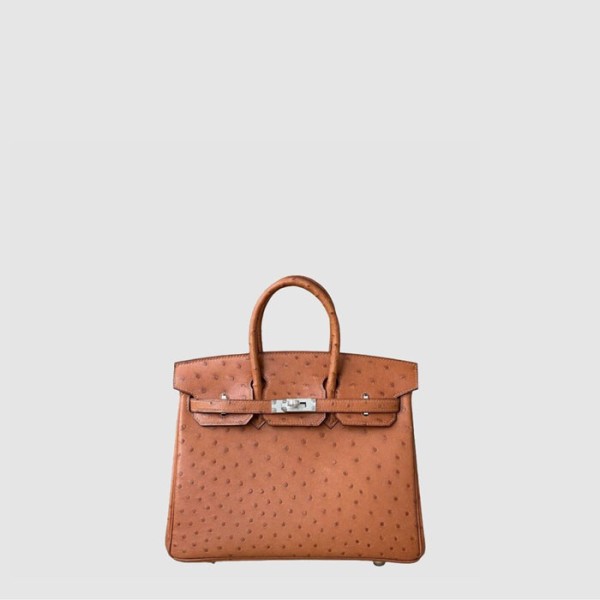 ❤에르메스 여성 25 버킨백 - Hermes Womens Birkin Bag - heb11481x