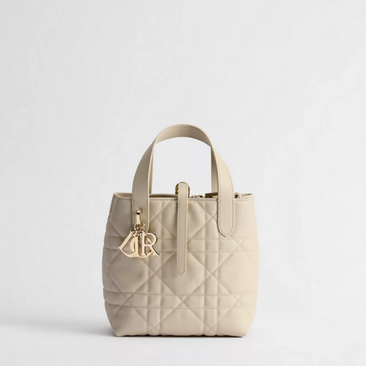 디올 여성 뚜주흐 버티컬 스몰 토트백 - Dior Womens Toujours Vertical Small Tote Bag