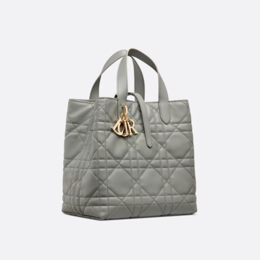 ★디올 여성 뚜주흐 버티컬 미디엄 토트백 - Dior Womens Toujours Vertical Medium Tote Bag