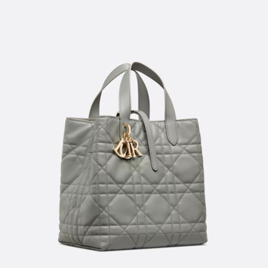 ★디올 여성 뚜주흐 버티컬 미디엄 토트백 - Dior Womens Toujours Vertical Medium Tote Bag
