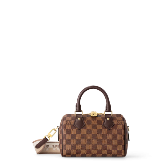 ★루이비통 여성 스피디 반둘리에 20 N40489 다미에 에벤 캔버스 Louis vuitton Womens Speedy Bandoulière 20
