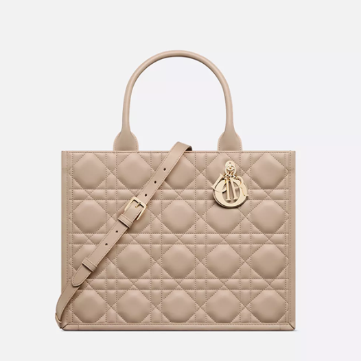 디올 여성 북 토트 스트랩 미디엄 백 - Dior Womens Book Tote Strap Medium Bag-데저트 토프